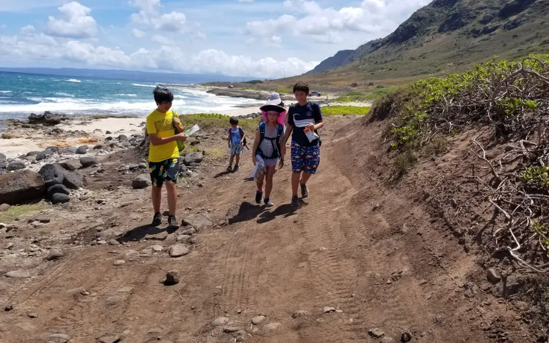 Oahu Easy Hiking Trails – Kid Friendly, too!