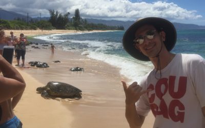 The Best North Shore Oahu Beaches
