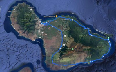 Our Road to Hana Trip – What To Do and What Not To Do