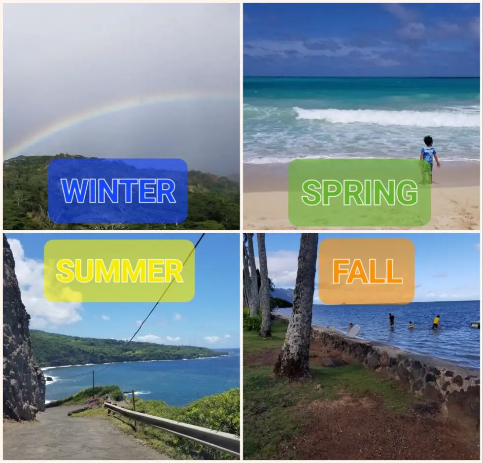 The Best Time to Visit Hawaii Hawaii Family Life