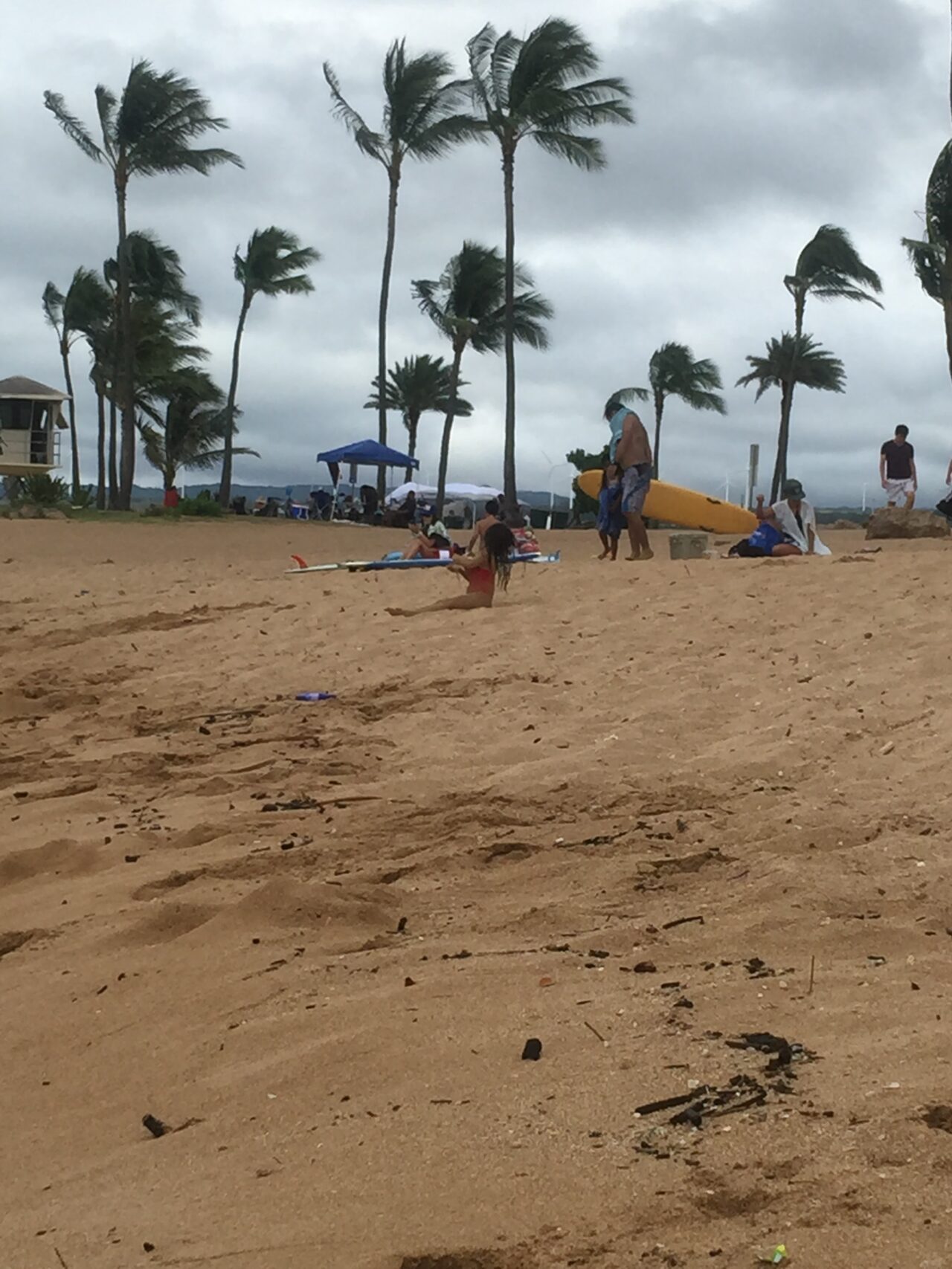 Dog Friendly Beaches On Oahu With A Location Map - Hawaii Family Life