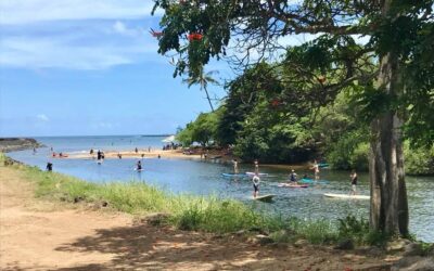 Paddleboarding in Paradise: Your Best Guide to SUP Lessons on Oahu’s North Shore
