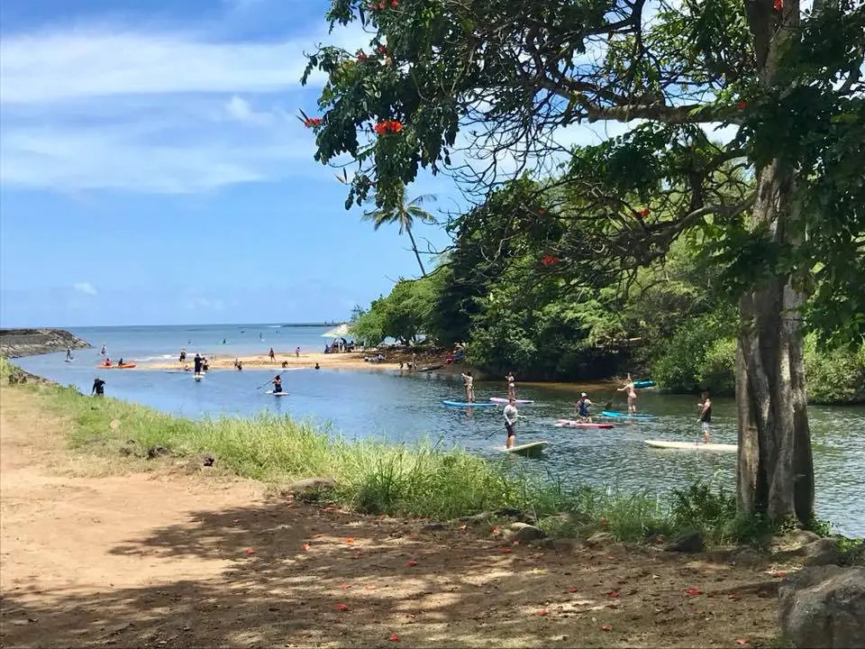 2018-0705_36664438 – Haleiwa, Keith Suzuka FB